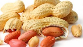 Vietnamese peanuts