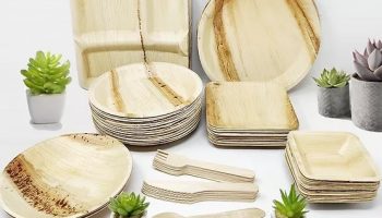 Areca palm leaf 100% eco-friendly tableware